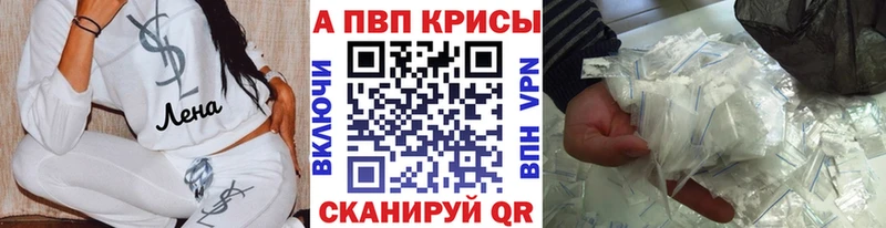 А ПВП крисы CK  Ладушкин 