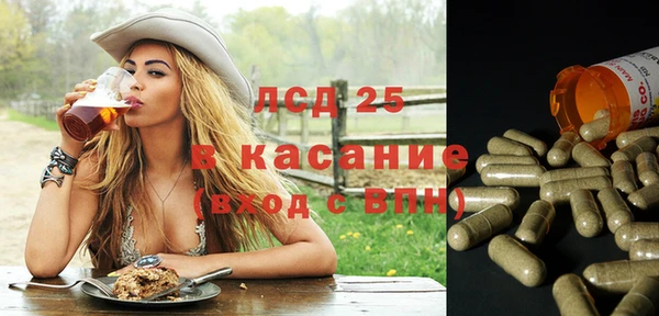 a pvp Аркадак