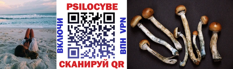 Псилоцибиновые грибы мухоморы  как найти закладки  Ладушкин 